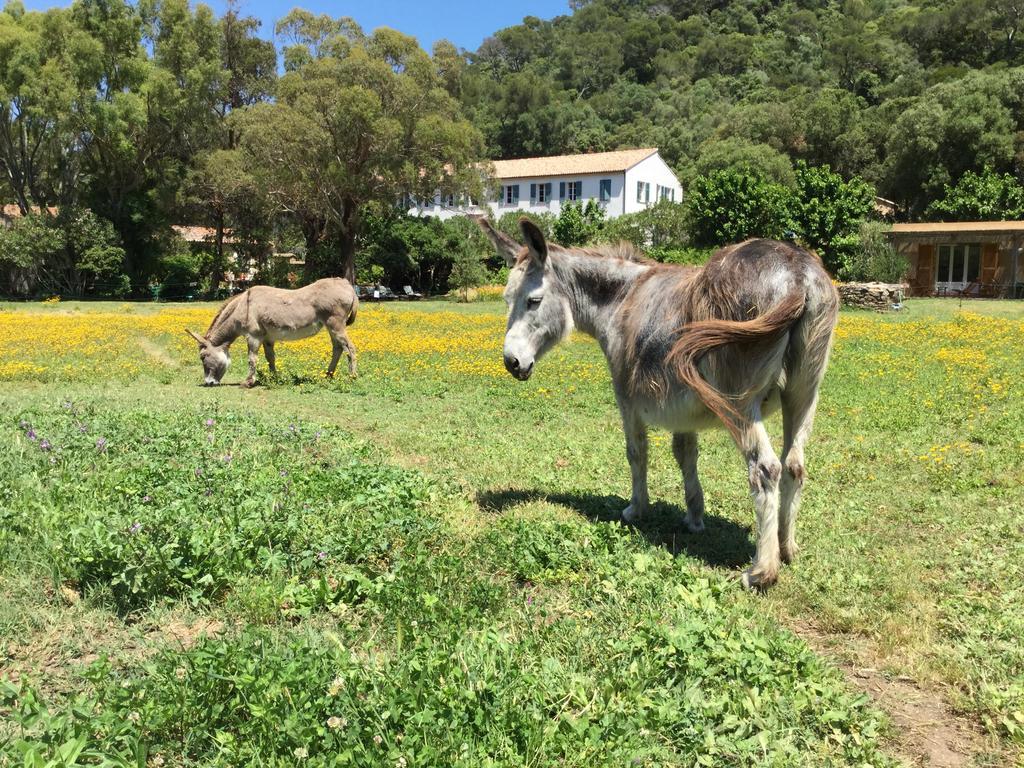 Le Manoir De Hotel Port-Cros