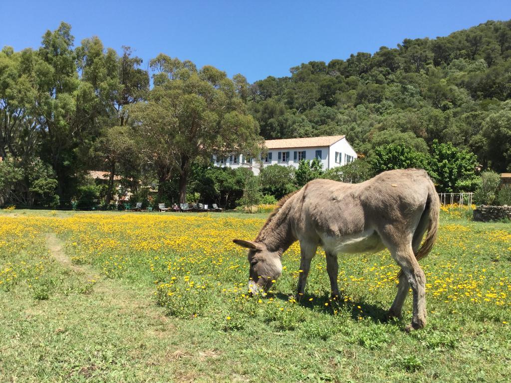Le Manoir De Port-Cros