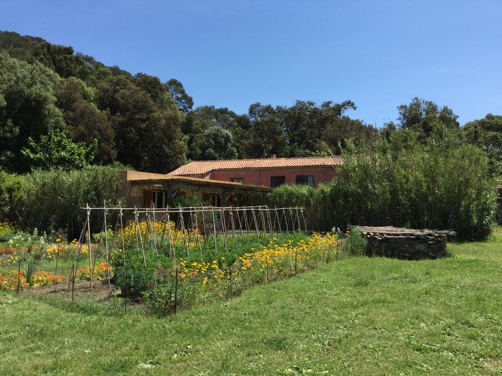 Le Manoir De *